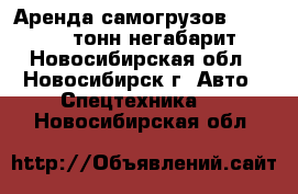 Аренда самогрузов 5, 10, 15, тонн негабарит - Новосибирская обл., Новосибирск г. Авто » Спецтехника   . Новосибирская обл.